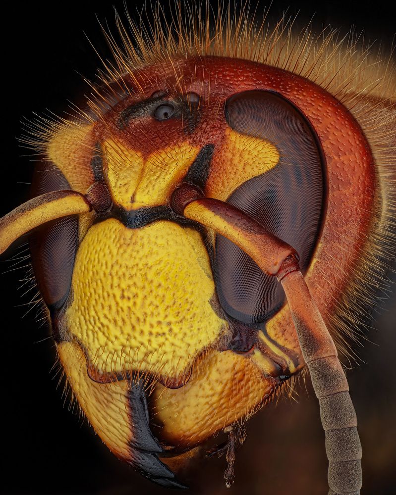 Photograph by Rastislav Borovsky