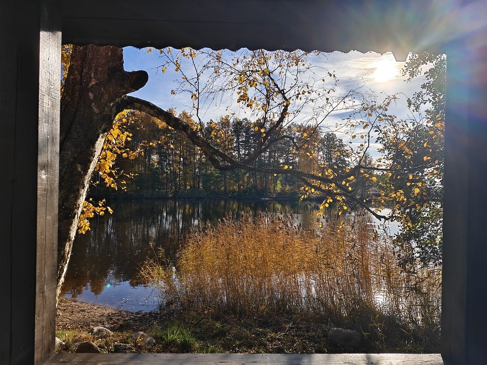 Photo #11212893