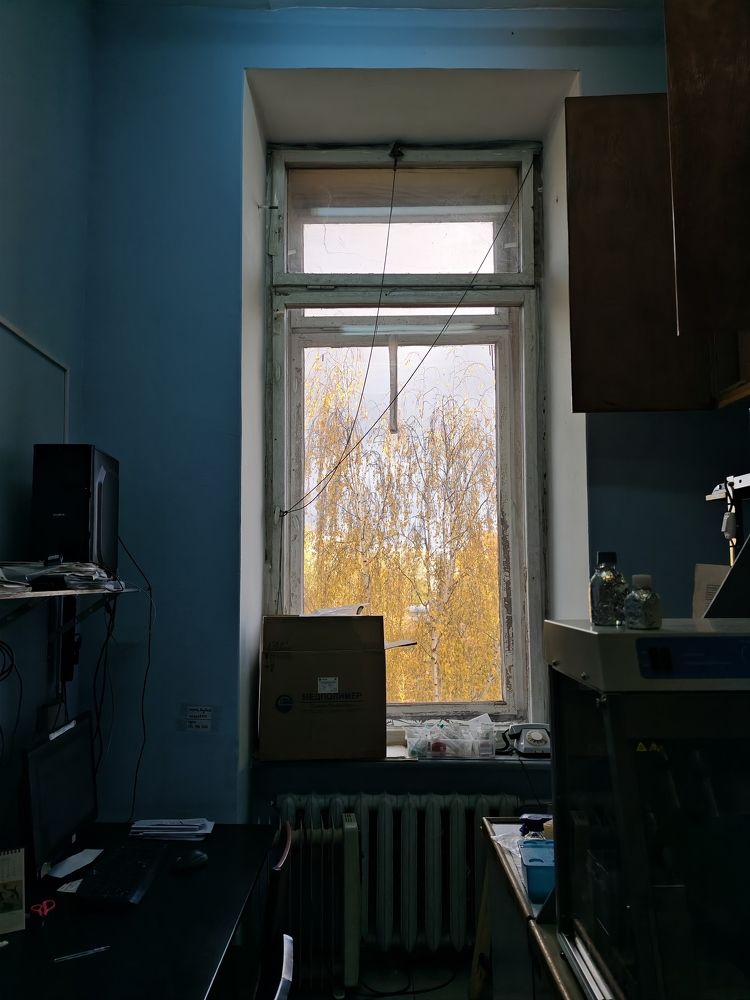 Photo #11212896