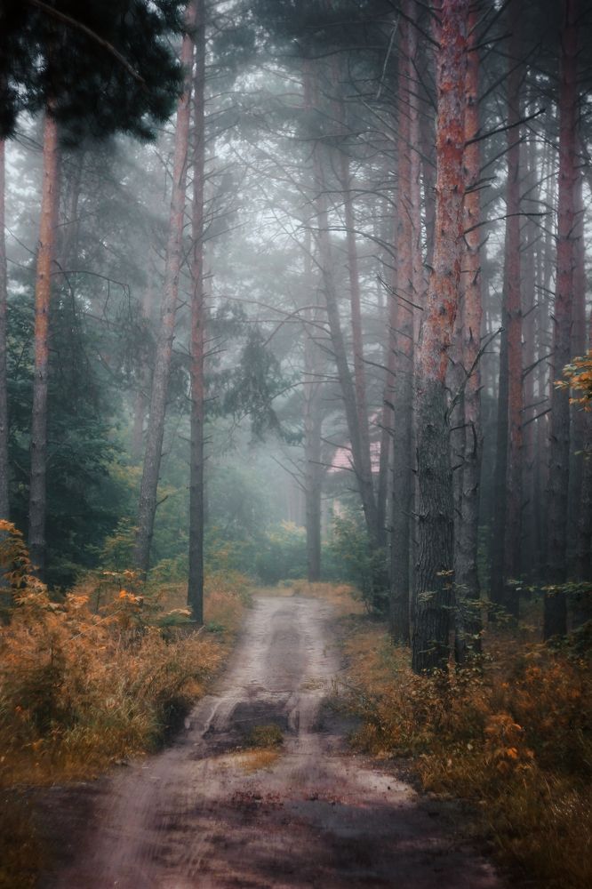 Photograph by Анна Любимова