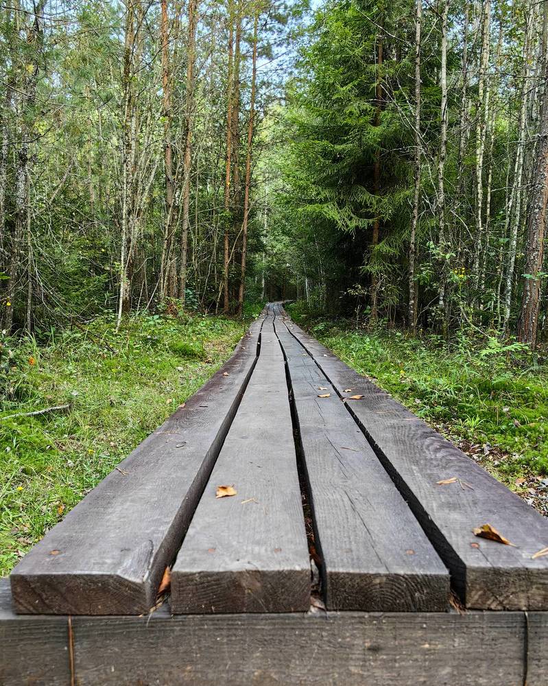 Photograph by Сергей Игнатьев