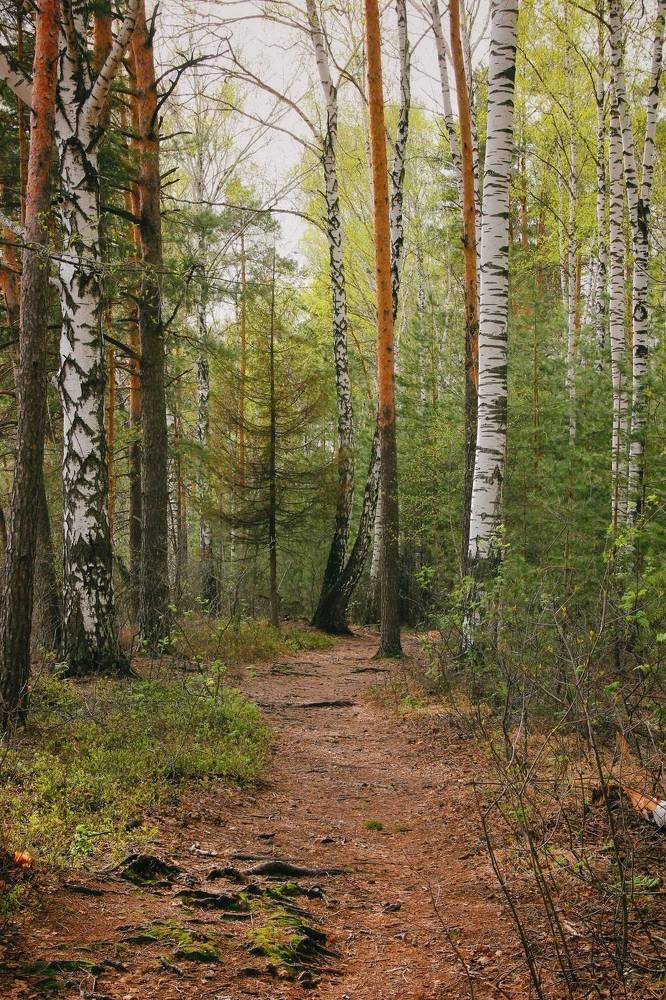 Photograph by Анна Любимова