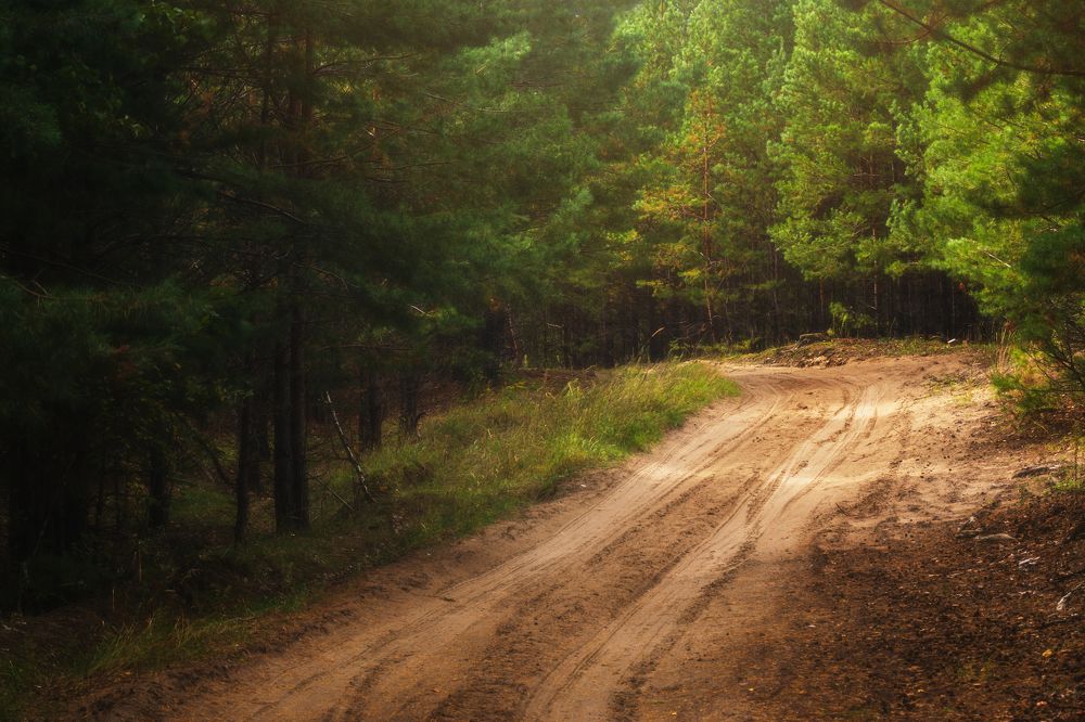 Photograph by Илья Толстоноженко