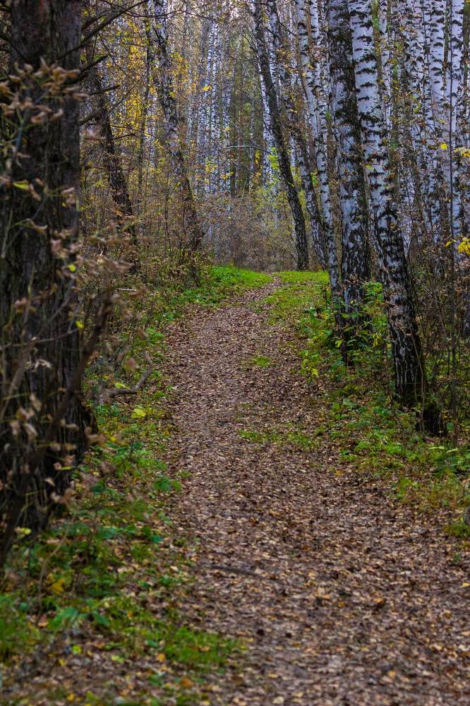 Photograph by Александр Коковихин