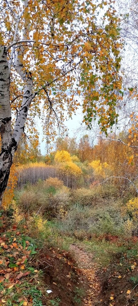 Photograph by Ирина Корнева