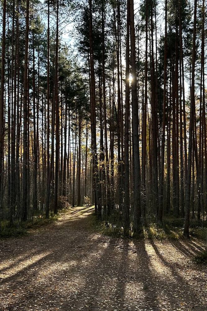 Photograph by Наталья