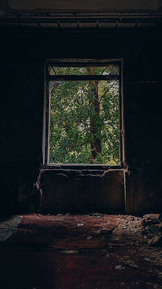 Photograph by Екатерина Нальгиева