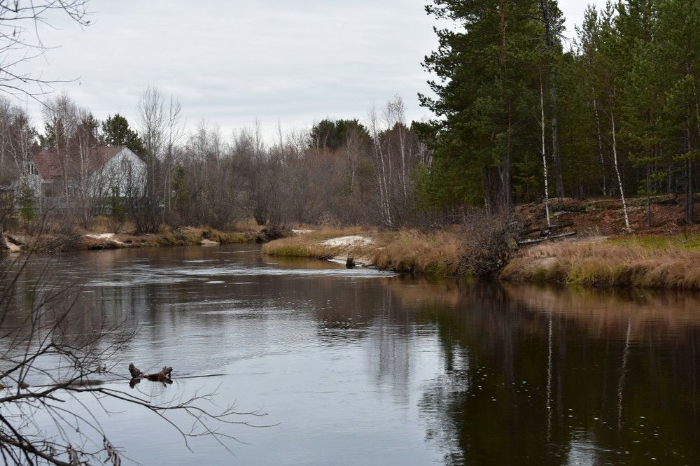 Фотография автора Светлана Чехлань