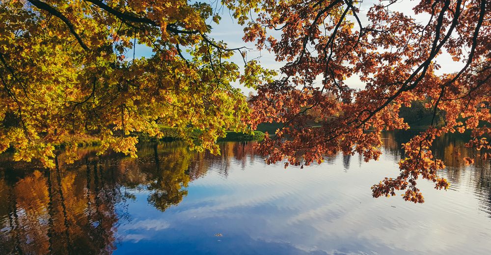 Фотография автора Джаф