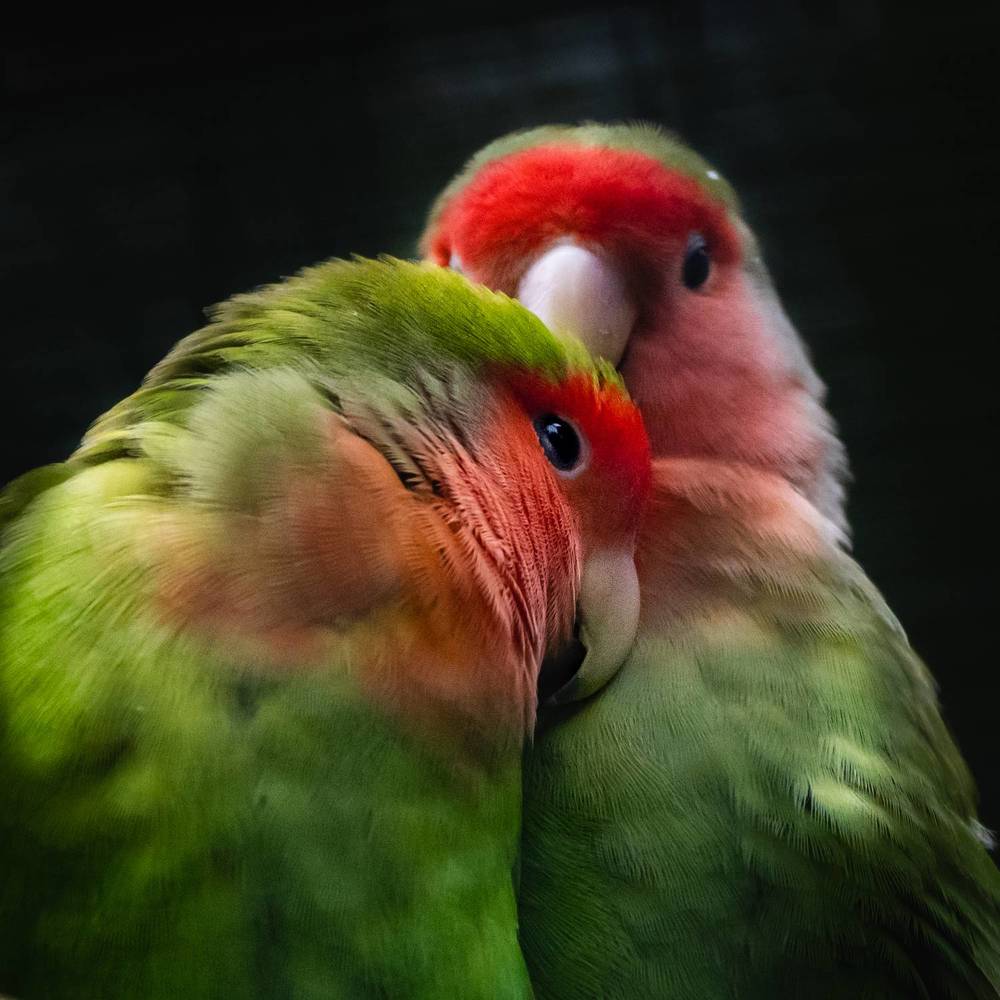 Photograph by Анна Стрелковская