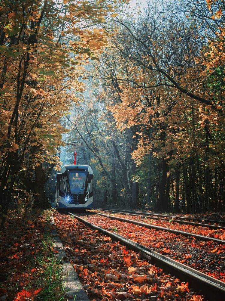 Photograph by Анна Епанчинцева