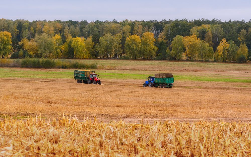 Photograph by Сергей Дишук