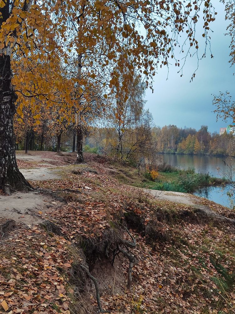 Фотография автора Нина Трофимова