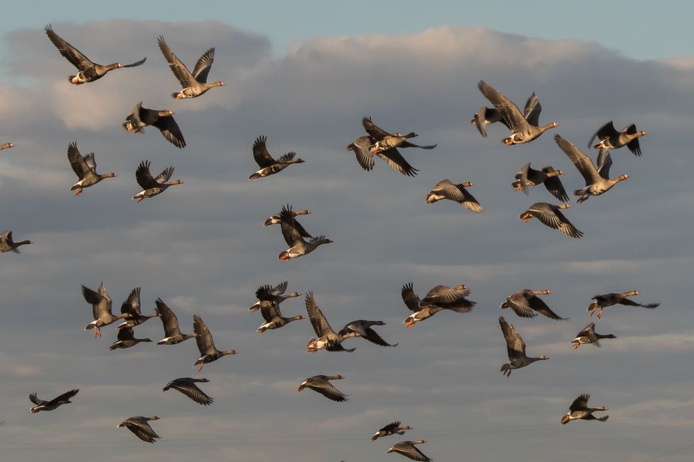 Photograph by Мария Тёмкина