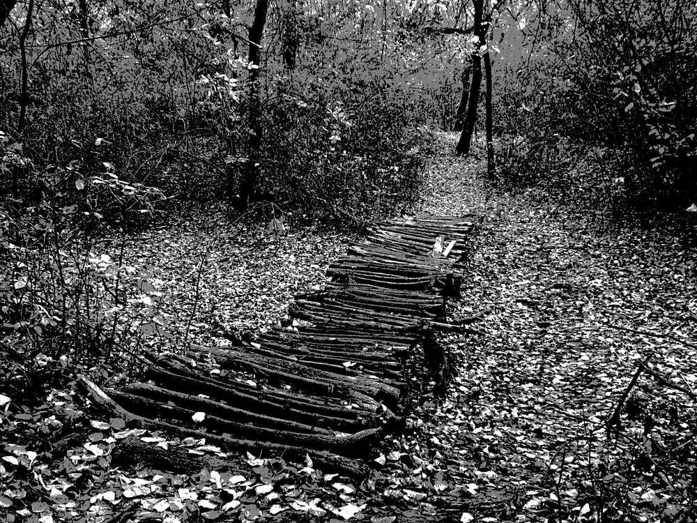 Мостик в осень