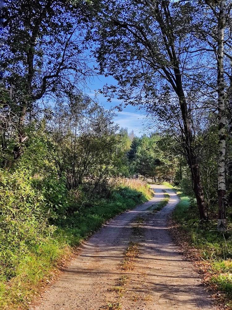 Photograph by Олеся Хижко