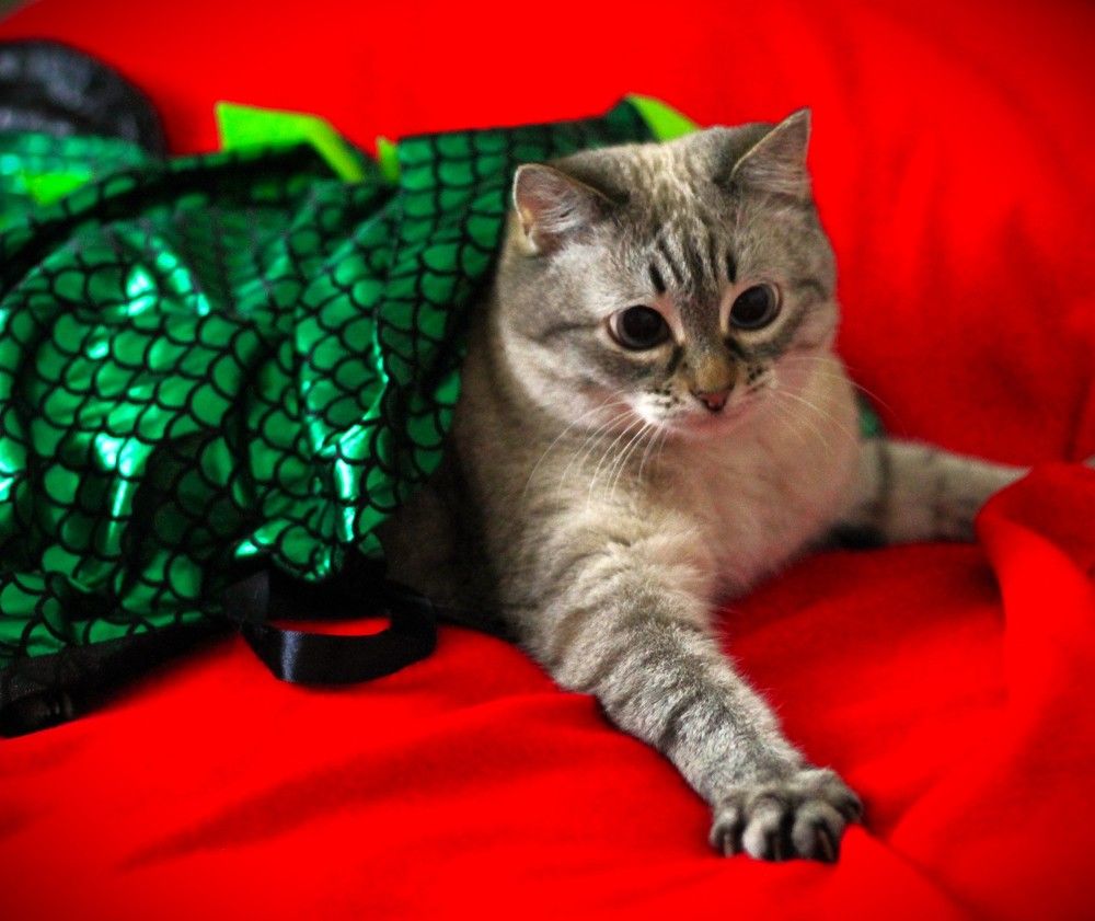 Photograph by Любовь Иванова