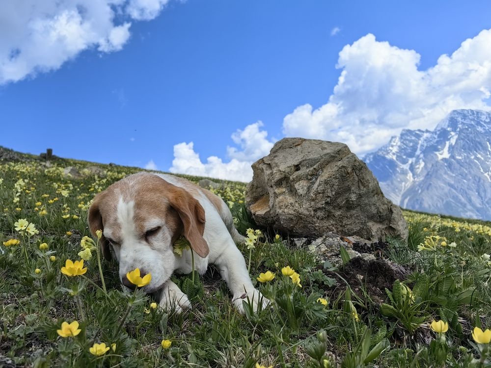 Photograph by Екатерина Исаева