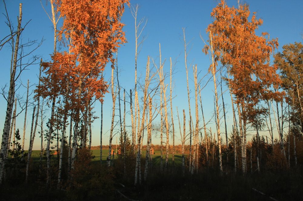 Photograph by Марина Юрченко