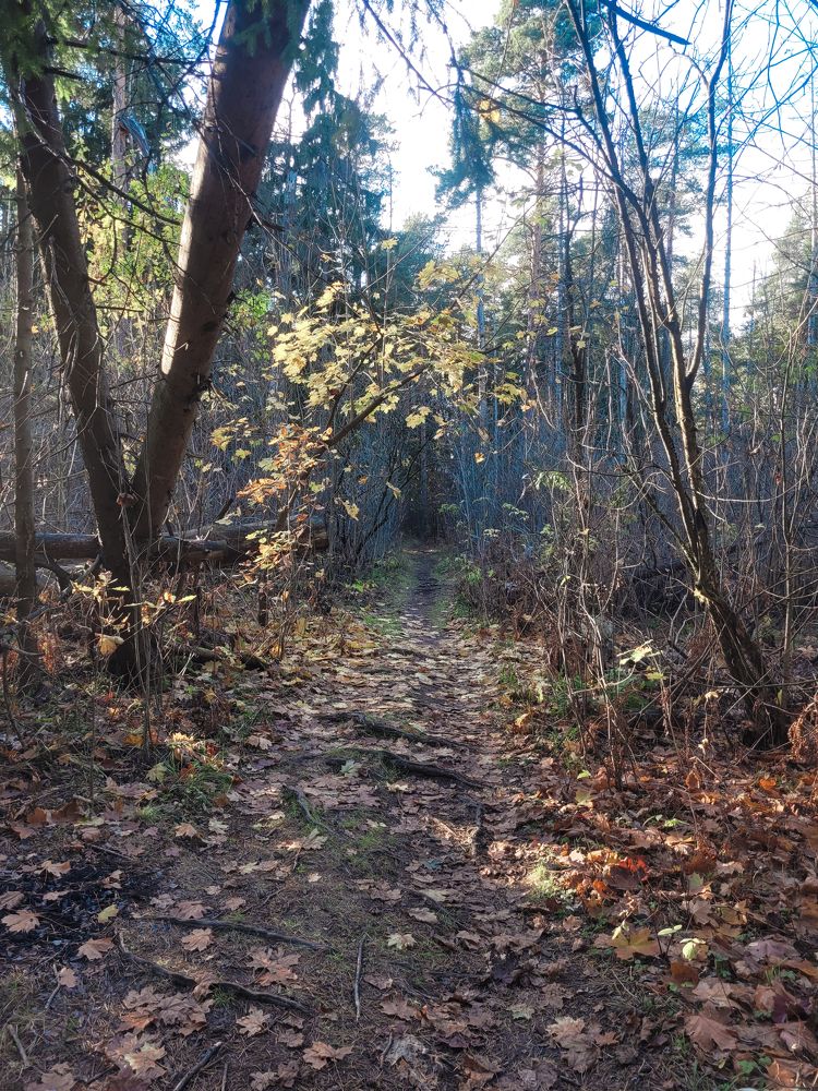 Photograph by Алексей Горин