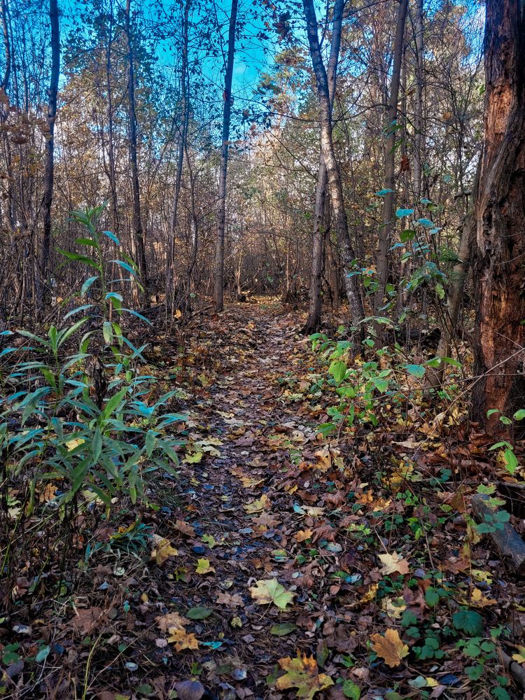 Photograph by Алексей Горин