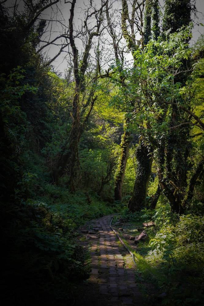 Photograph by Екатерина Нальгиева