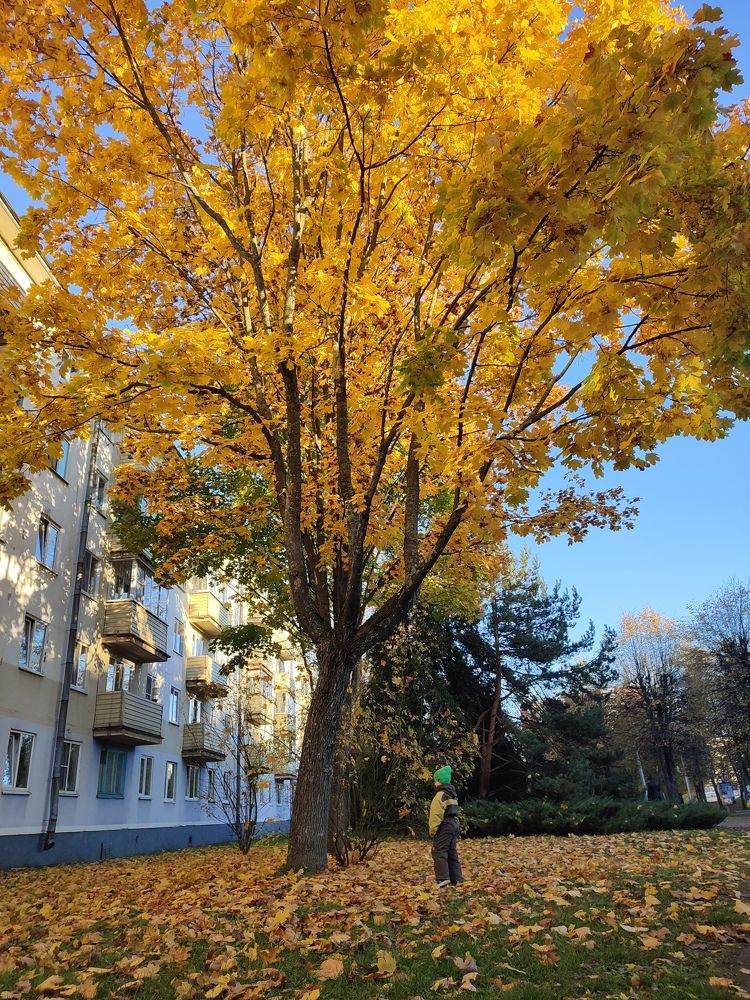 Фотография автора Татьяна Бухарова