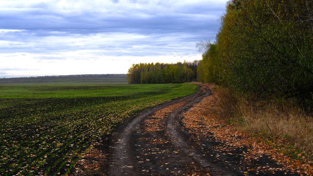 Photograph by Александр Елизаров
