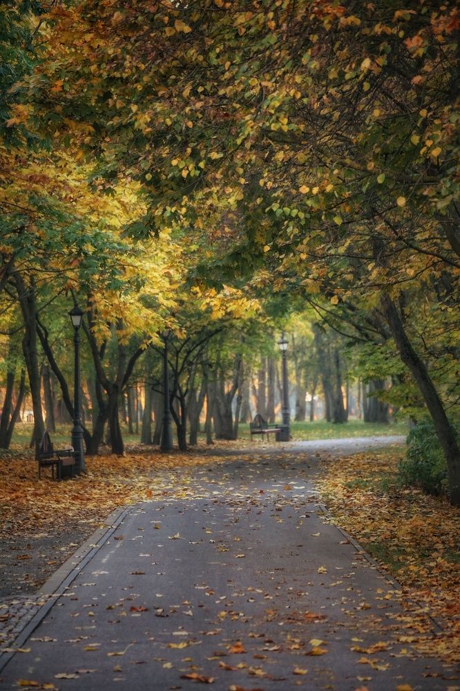 Photograph by Leanid Kulpo