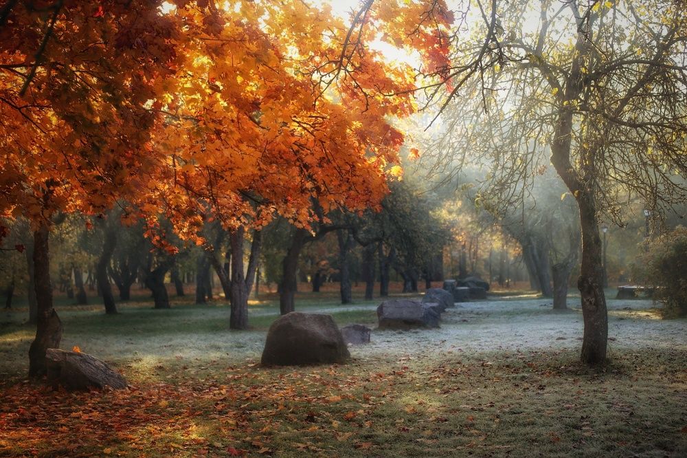 Photograph by Leanid Kulpo