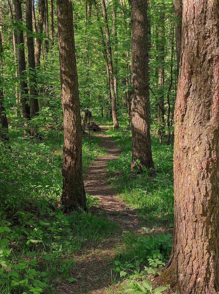 Photograph by Олеся Хижко