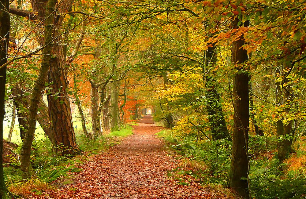 Photograph by Marjo Steffen