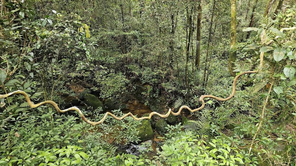 Photograph by Вадим Богатиков