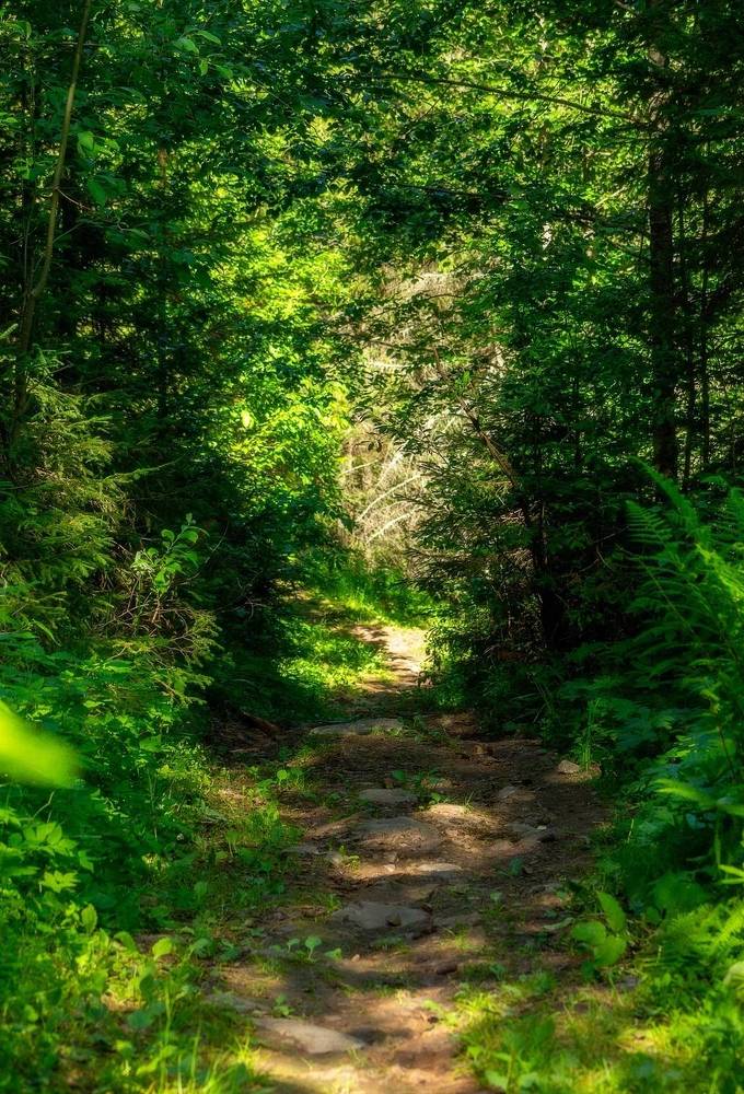 Photograph by Evgeniy