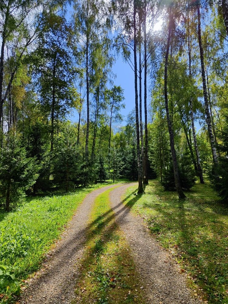 Photograph by Олеся Хижко