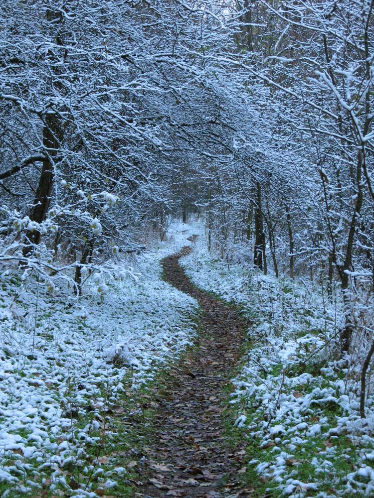 Тропинками Хортицы