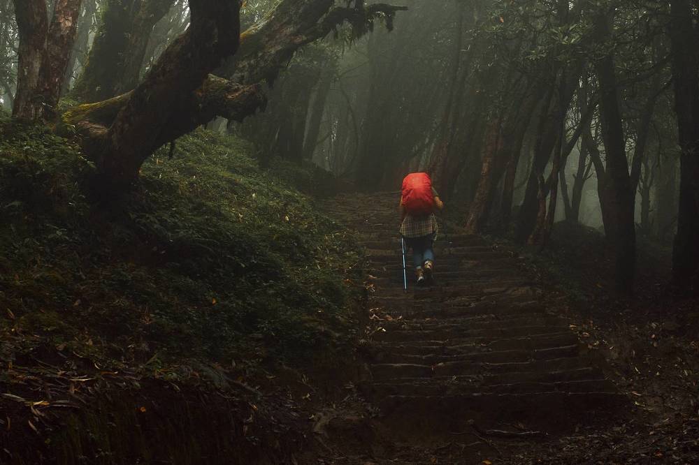 Photograph by Виктор Бабинцев