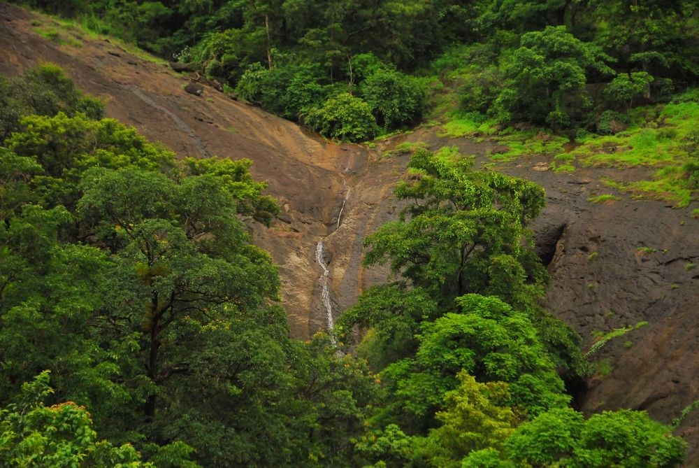 Photograph by George S George