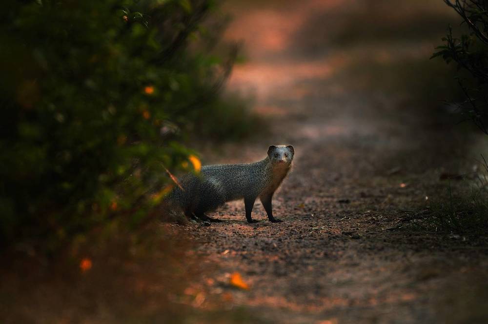 Photograph by George S George