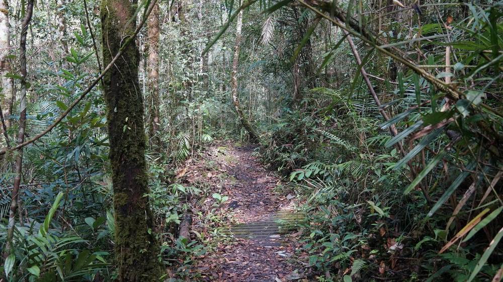 Photograph by Вадим Богатиков