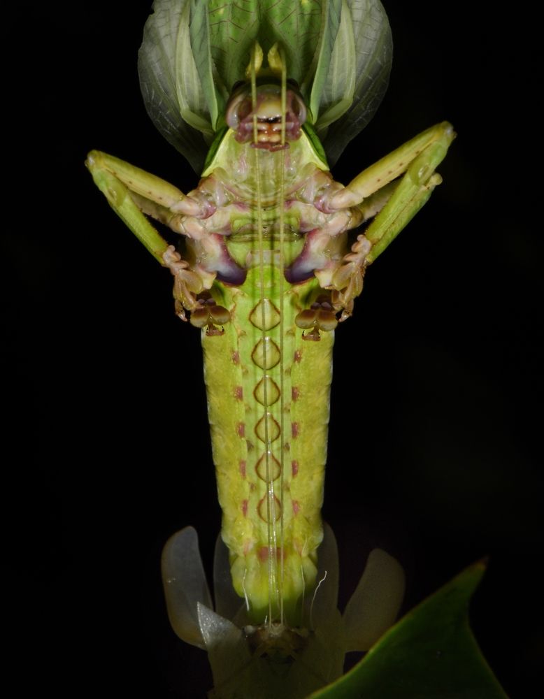 Photograph by George S George