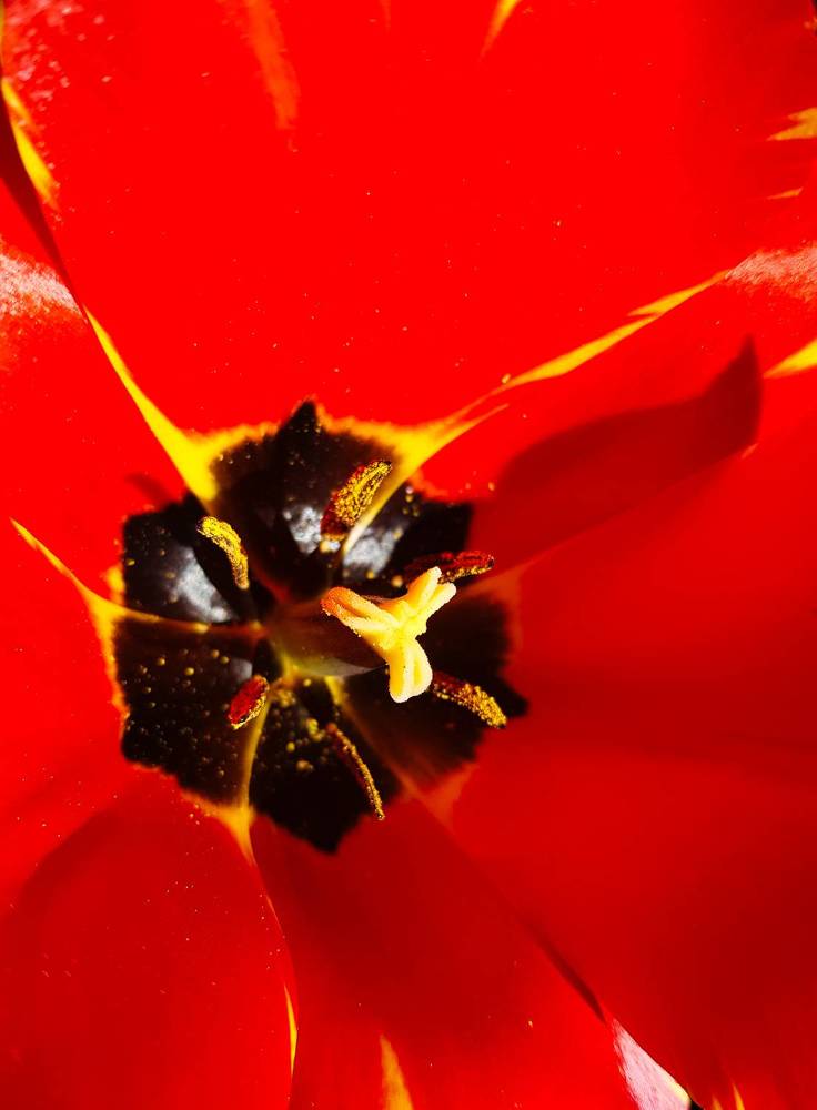 Фотография автора Джаф