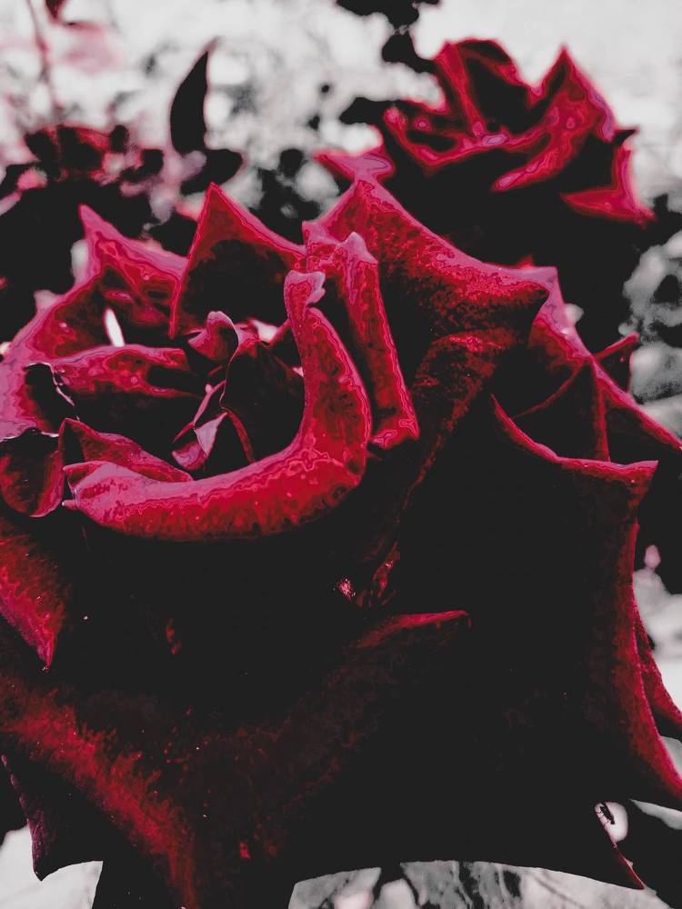 Фотография автора Джаф