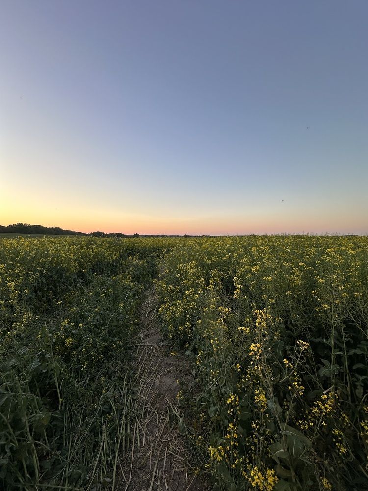 Photograph by Екатерина Балакина