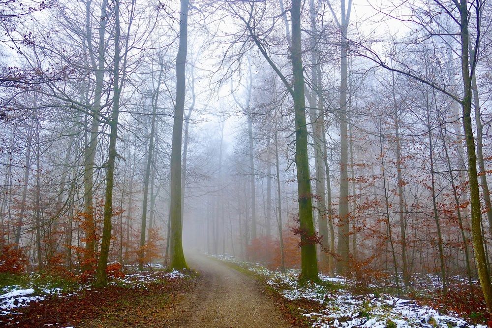 At the beginning of winter