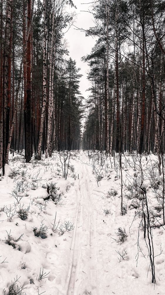 Photograph by Екатерина Балакина