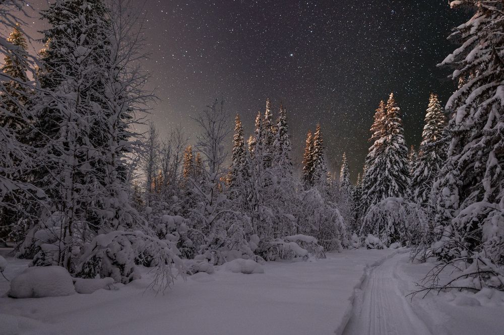 Photograph by Алексей Турчин