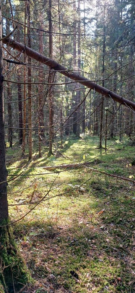 Фотография автора Джаф