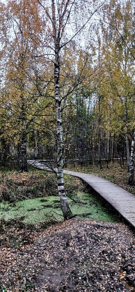 Фотография автора Джаф