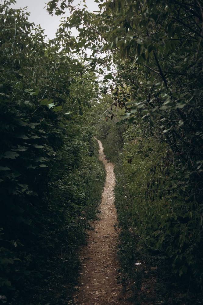 Photograph by Евгения Журавлева